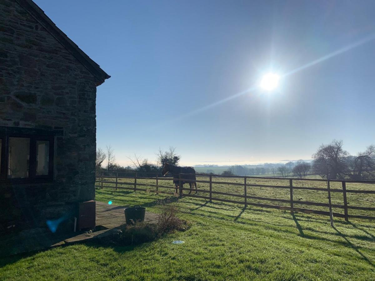 Вилла Edge Barn Woolaston Экстерьер фото